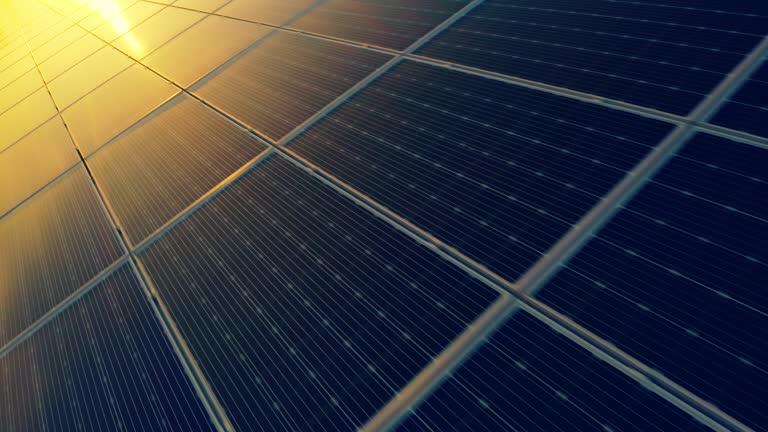 Leading Solar Power Companies for Long-Term Savings