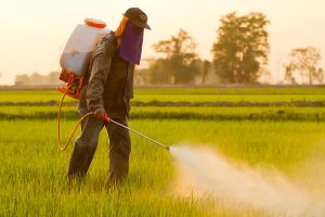 Eastern Pine Pest Control Serving Reading and Beyond with Excellence