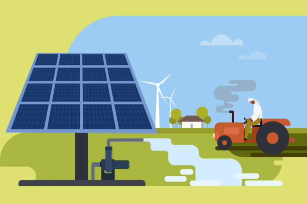 Why More Homeowners Are Choosing Solar Companies in Stockton