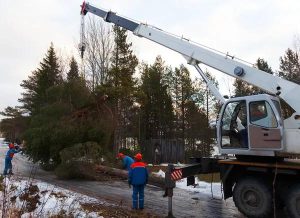 Quality Tree Service Springfield – Residential & Commercial