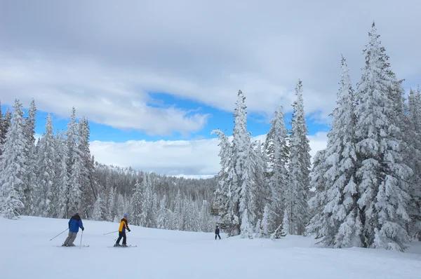 Ski Steamboat Springs: Insider Tips for an Unforgettable Trip