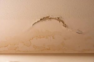 Trusted Portland Water Damage Restoration Experts for Fast Home Recovery