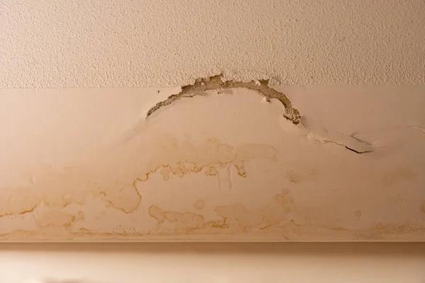 Trusted Portland Water Damage Restoration Experts for Fast Home Recovery